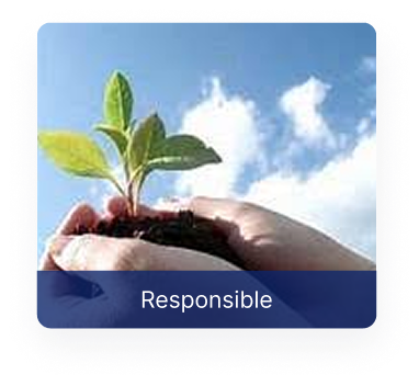 Responsible